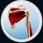 Shoulder Anatomy